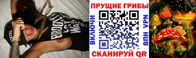 Галлюциногенные грибы ЛСД  Киселёвск 